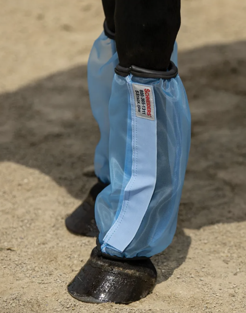 6 Best Fly Boots for Horses Harassed by Bugs - Horse Rookie