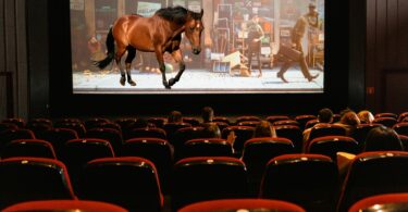 movie theater with horse on screen