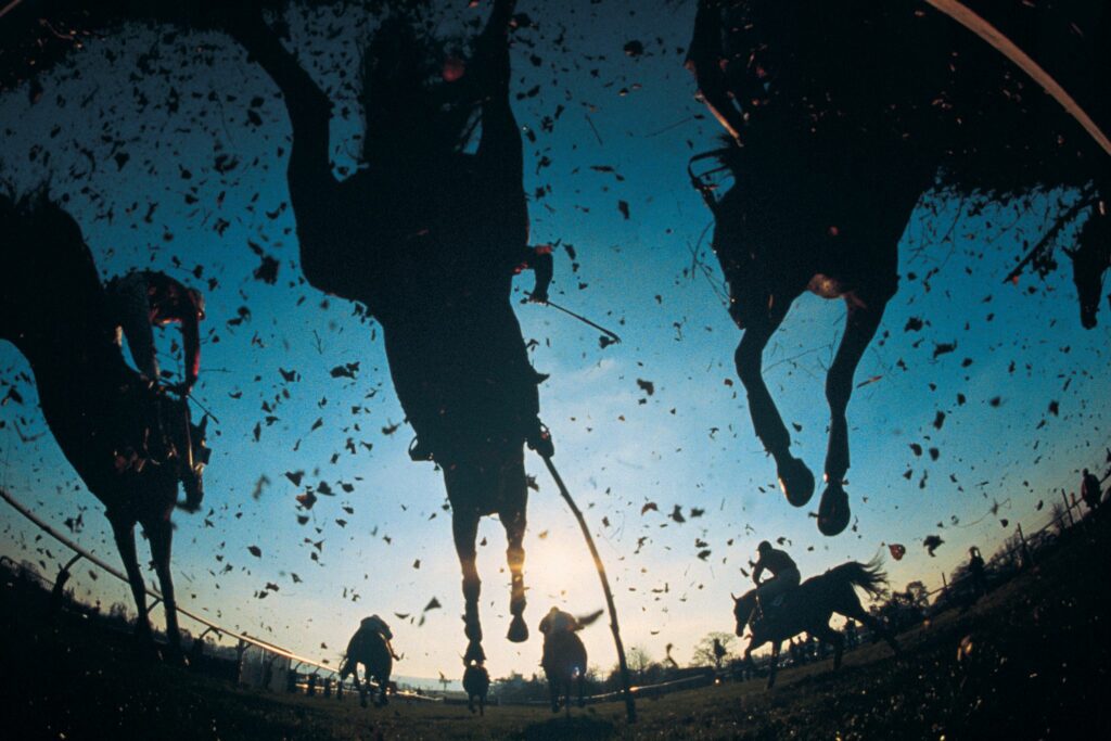 view from the ground looking up as racehorses run over the camera