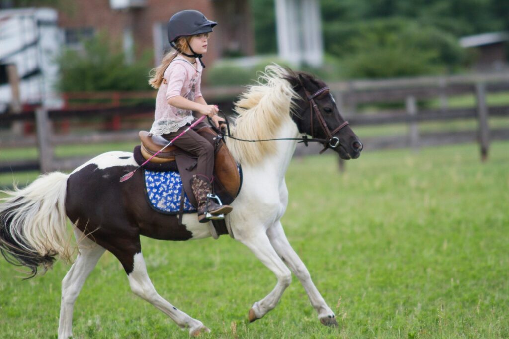 girl riding black and white pony English