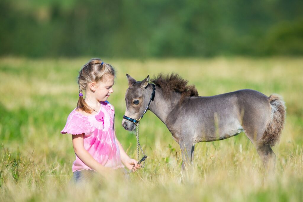 girl and miniature horse foal