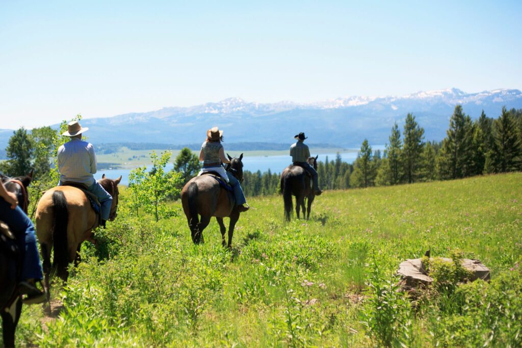 people riding horses on a trail