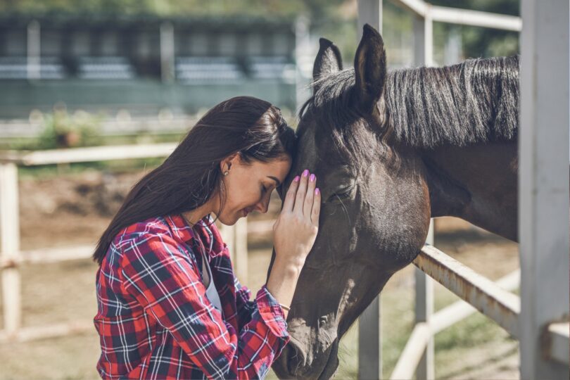 horse and girl forehead to forehead