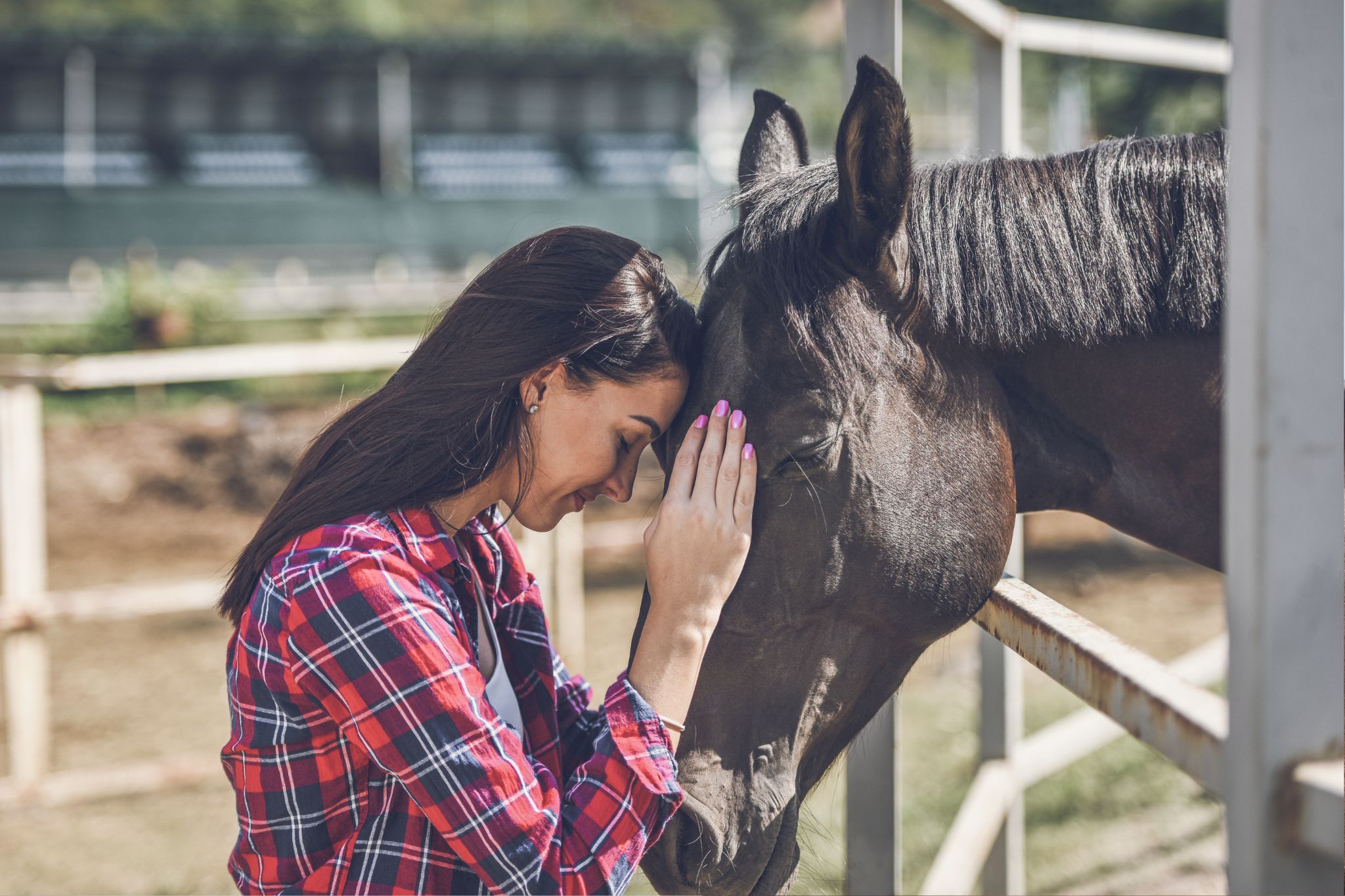 Equine Einstein: Understanding Horse Intelligence - Horse Rookie