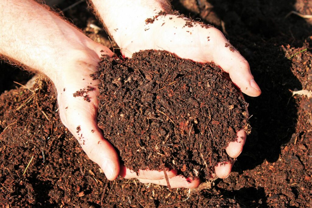 hands holding garden soil