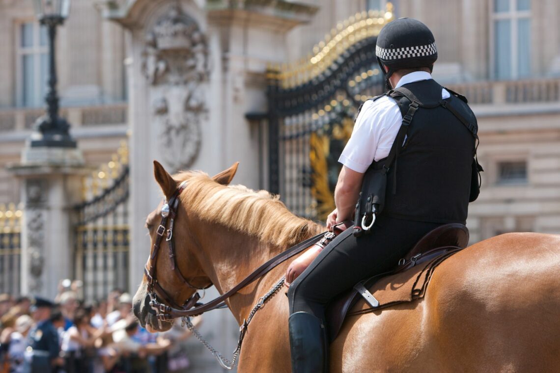 Behind the Shield The Police Horse Past & Present Horse Rookie