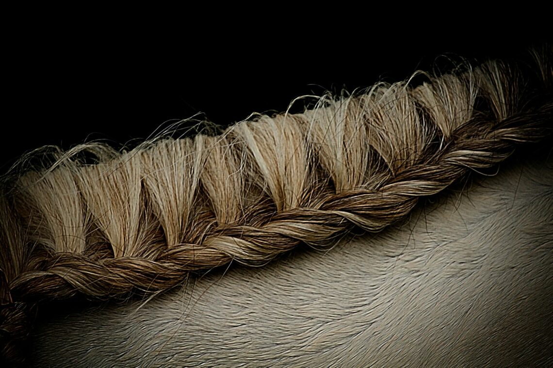 Horse Mane Braiding Demystified (Tools, Types, FAQs) Horse Rookie
