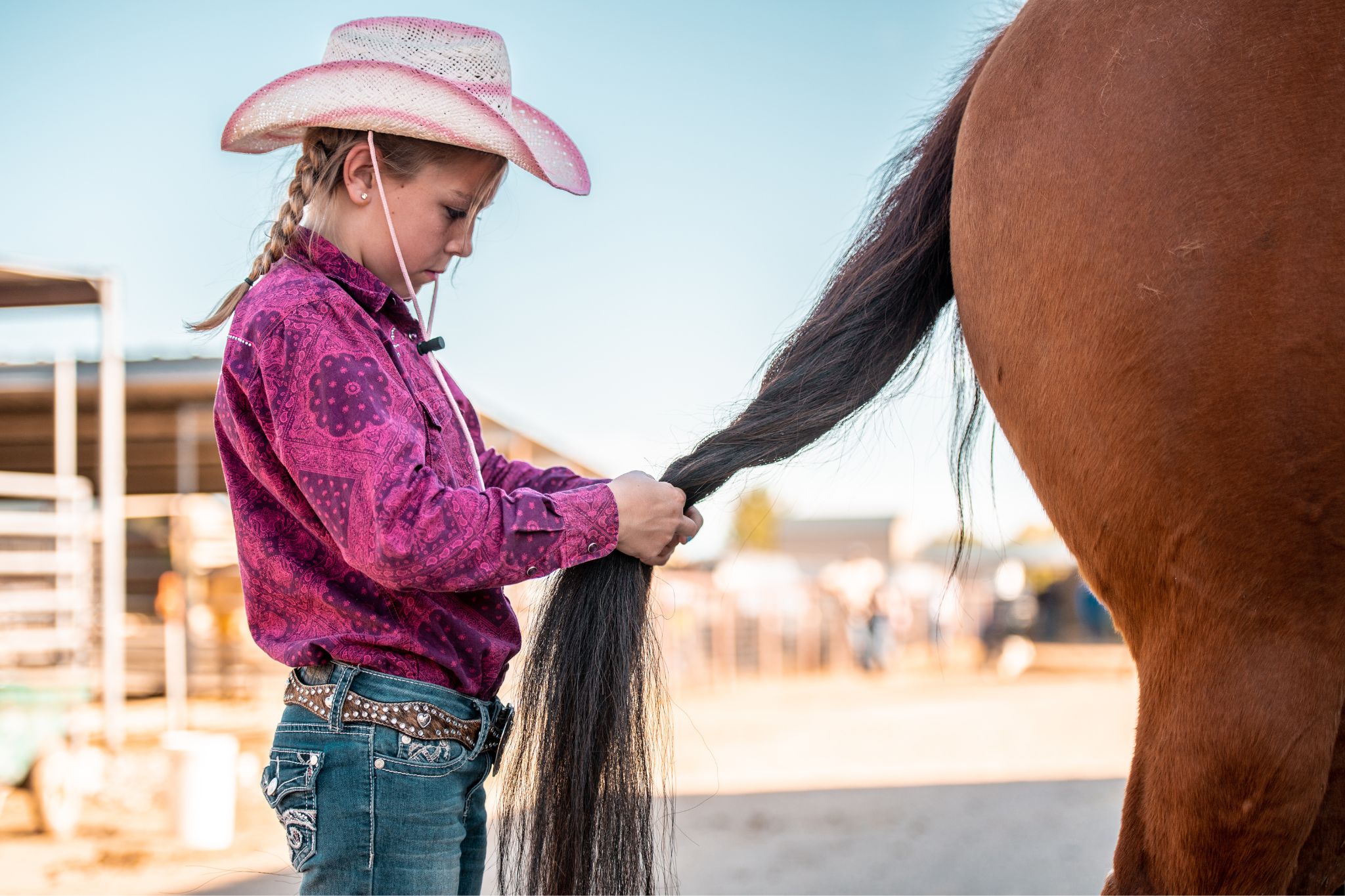 Horse Mane Braiding Demystified (Tools, Types, FAQs) - Horse Rookie