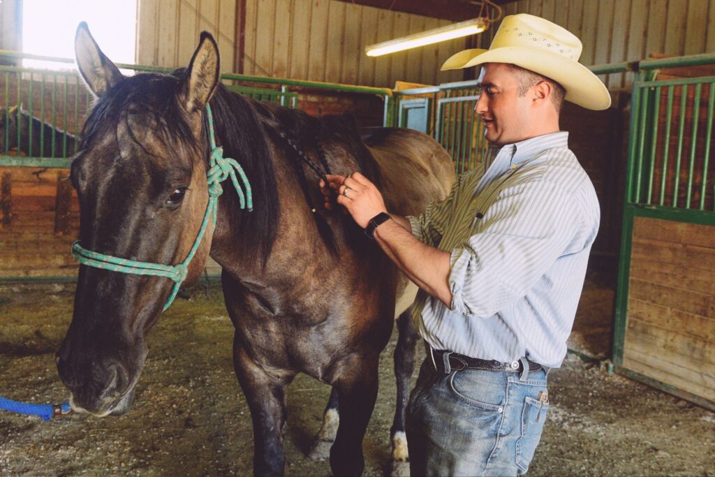 cowboy braiding bay horses' mane