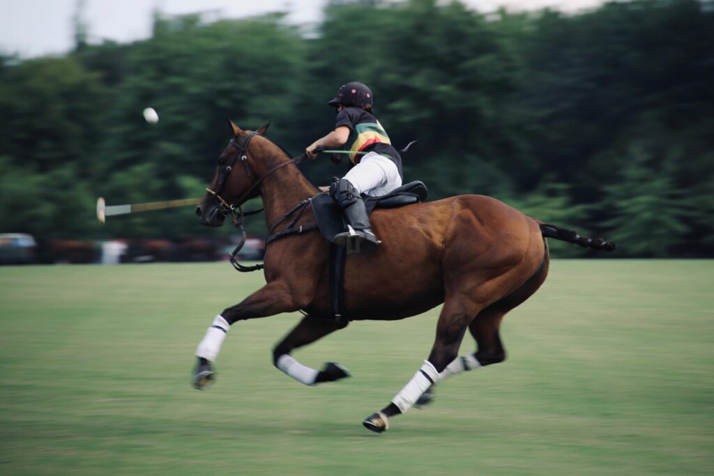 polo pony galloping on field