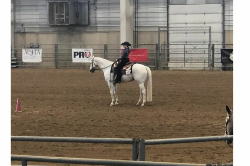 Black chaps on gray horse at show