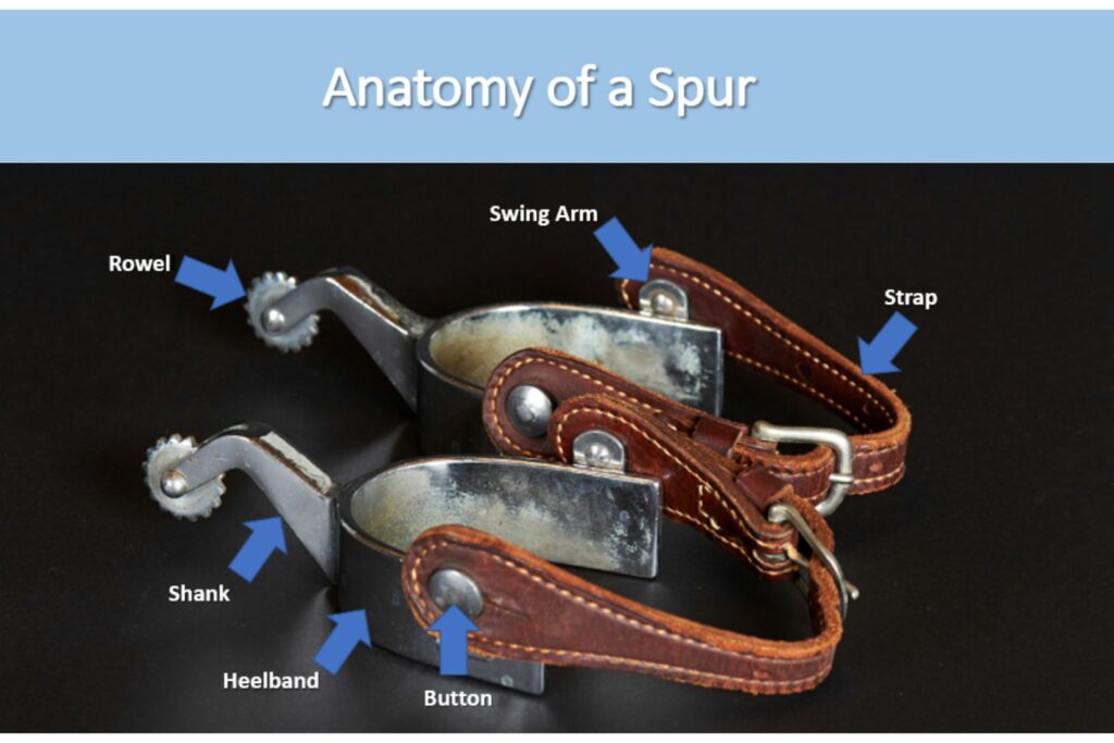 anatomy of a spur picture with definitions