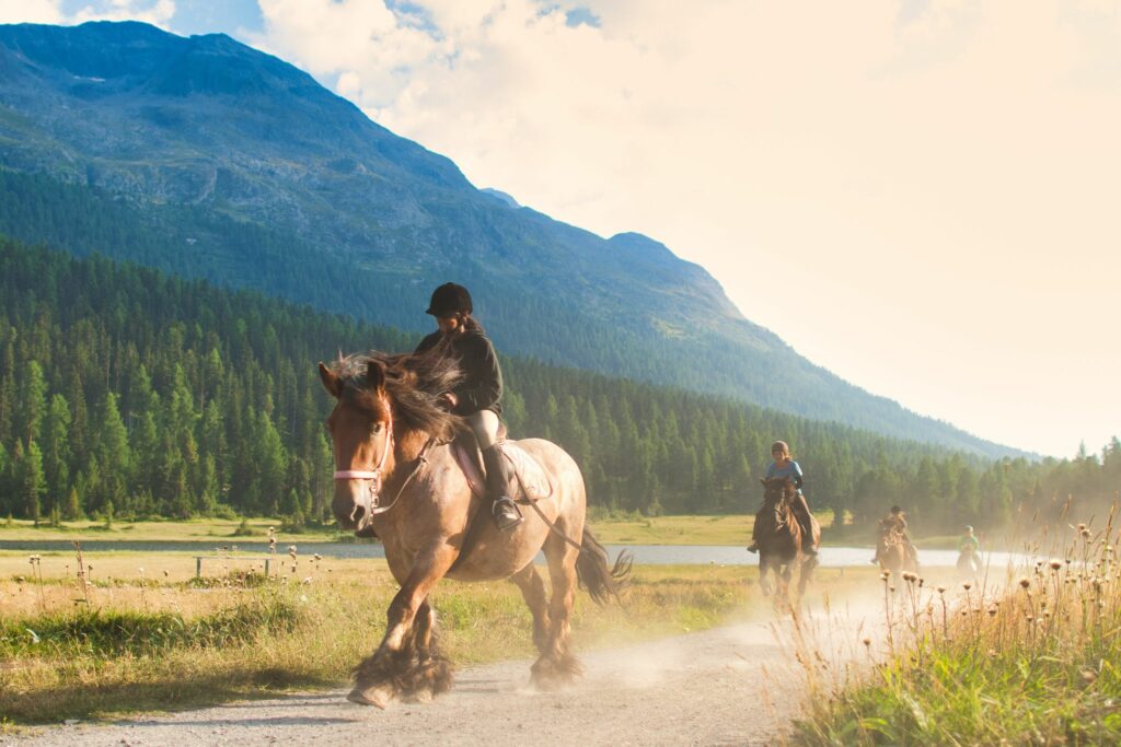 horses on trail ride with mountain backdrop