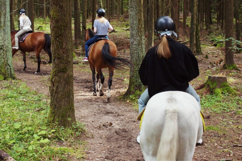 horseback riders on trail ride