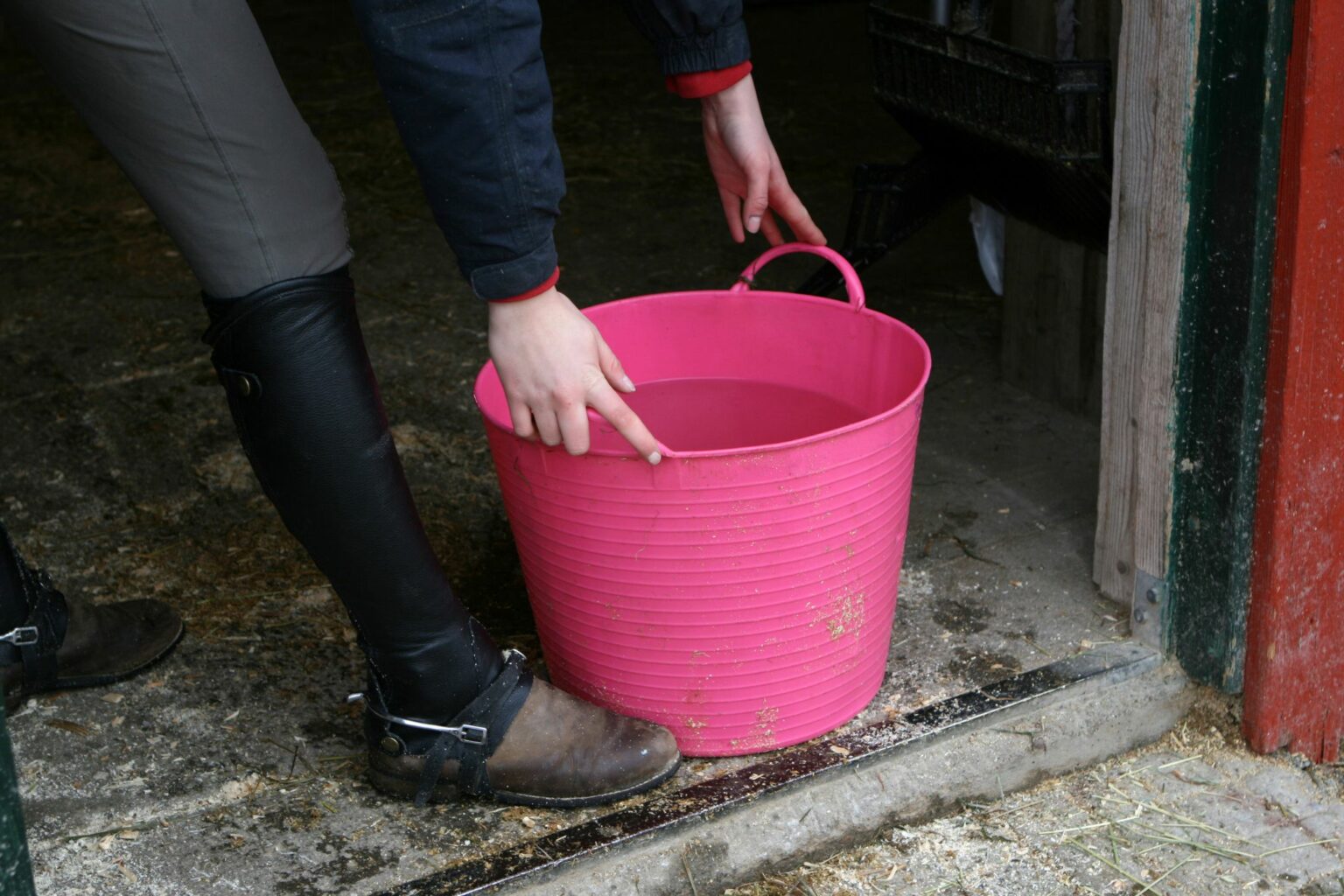 3 Best Water Buckets for Horses (Stall, Heated, Travel) Horse Rookie
