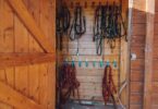 neatly stored bridles in tack room