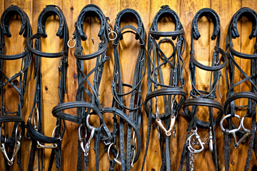 bridles hanging in tack room
