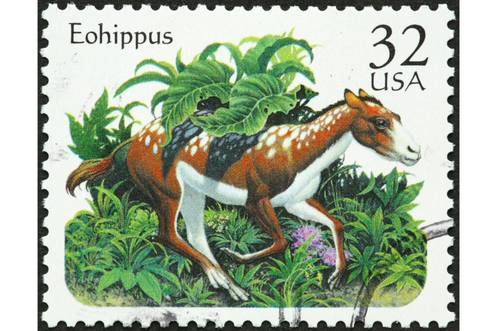 stamp with ancient horse image