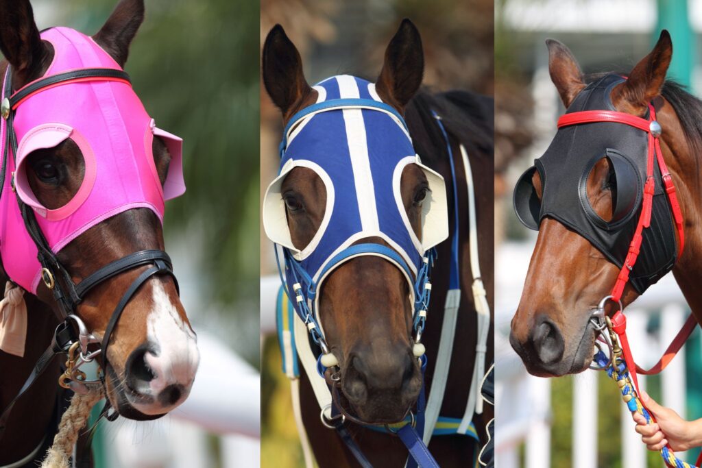 racehorses wearing blinders