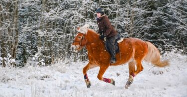 woman galloping through the snow on horse
