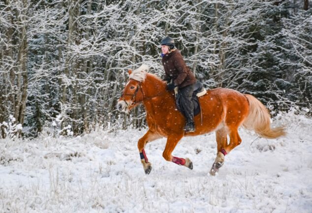 comfortable horse riding boots