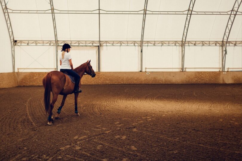 horse and rider in indoor arena