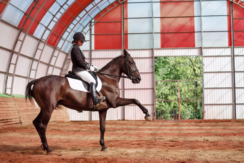 rider on dressage horse in indoor arena