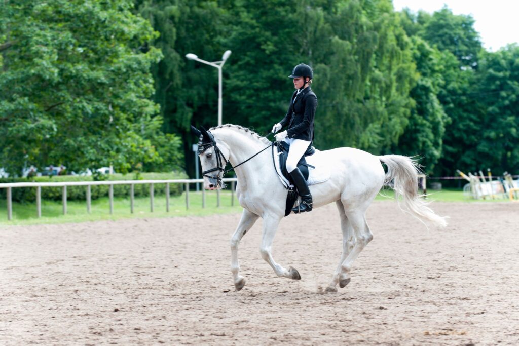horse and rider in outdoor arena