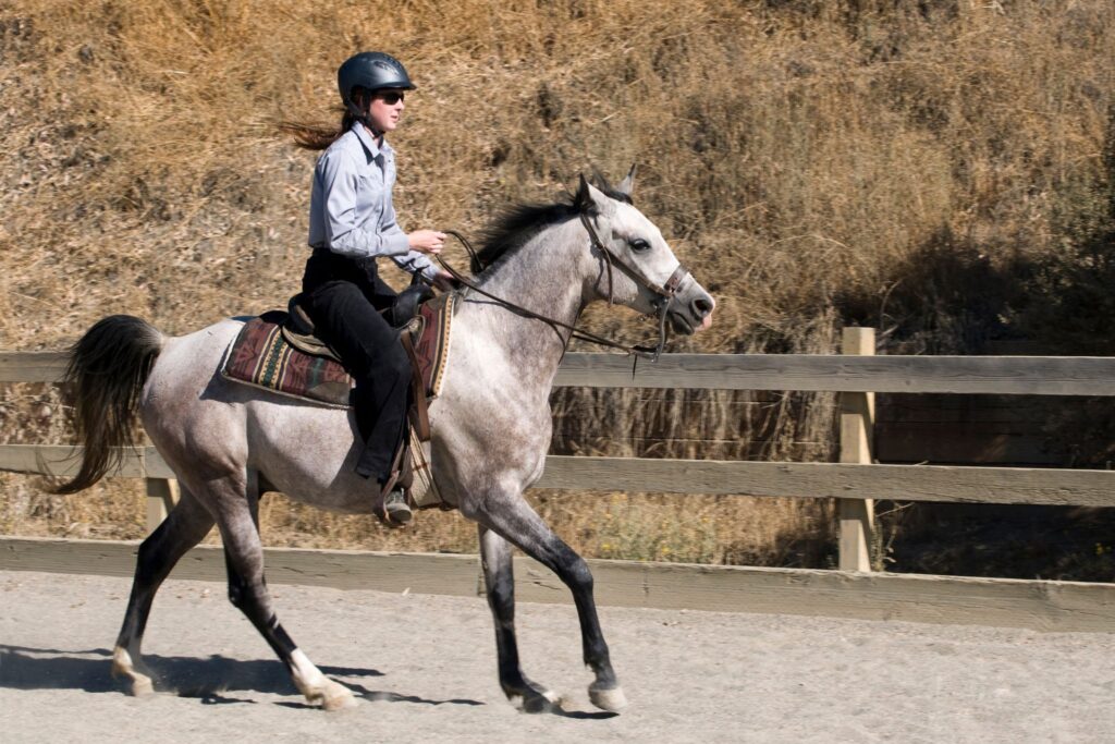 woman riding gray horse
