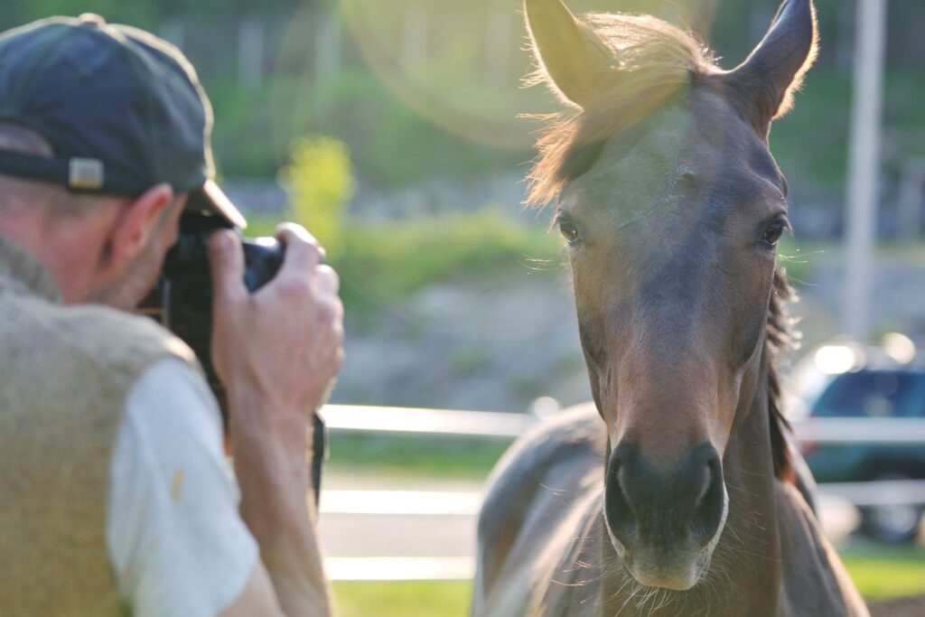 photographer and horse