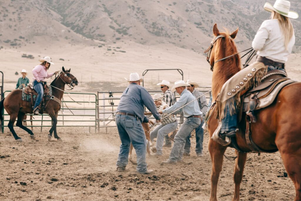 cowboys branding cattle