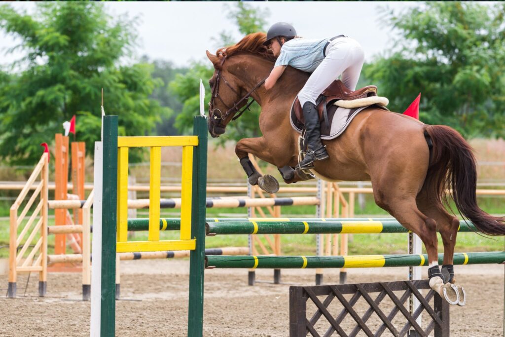 horse jumping fence