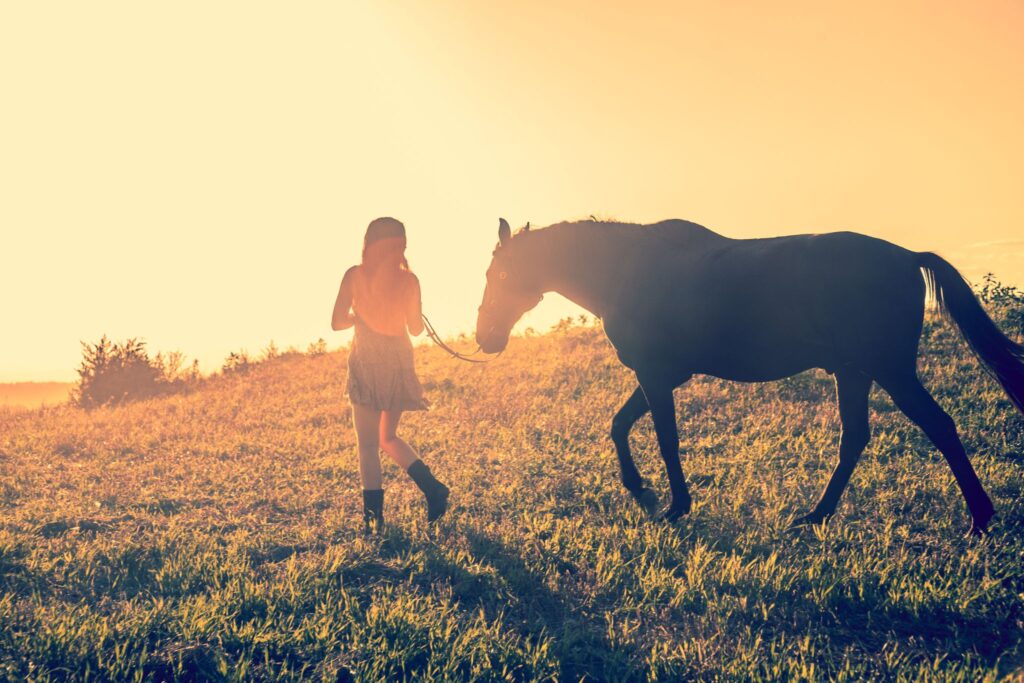 horse and handler walking into the sunset
