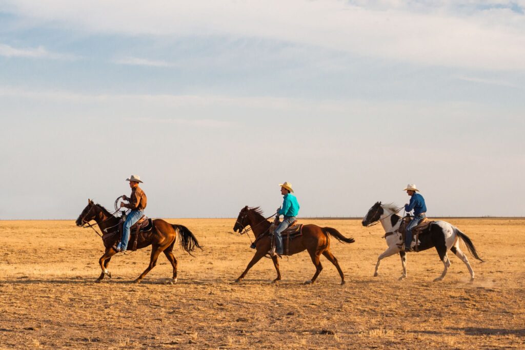 people riding horses in field