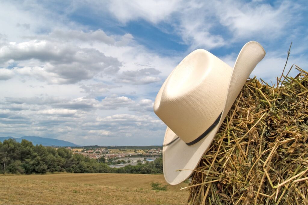 straw cowboy hat on hay bale