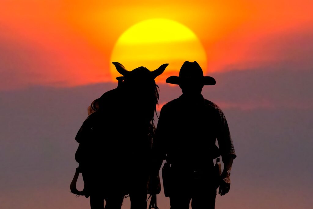cowboy wearing hat and horse silhouette