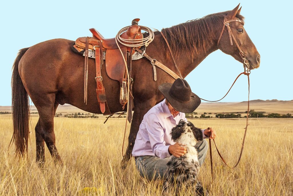cowboy with horse and dog