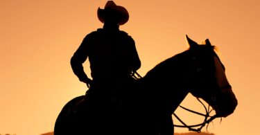 silhouette of cowboy wearing cowboy hat on horse