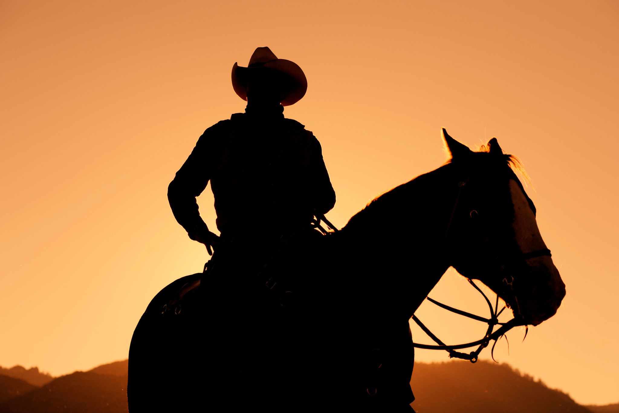 Ковбой егэ. Парень шляпе на коне. Ковбой на закате картинки. Человек с винтовкой в руке на лошади.