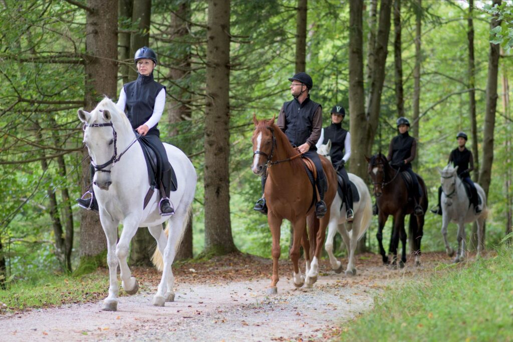 english riders on trail in forest