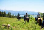 group of riders on trail ride in mountains