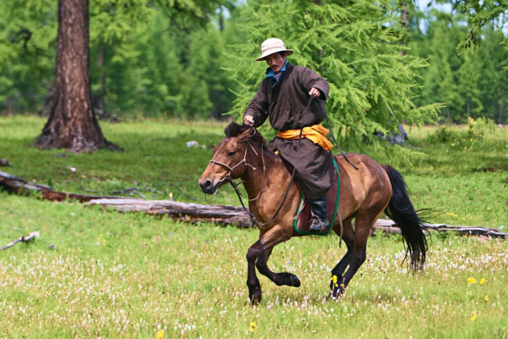 mongolian man and horse