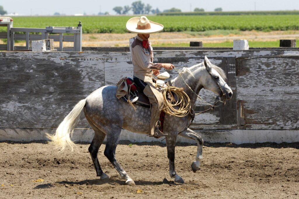 mexican vaquero riding horse