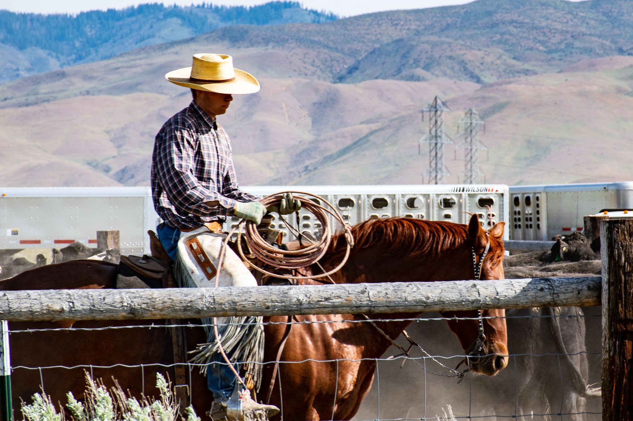 14 Cowboy Hats for Gents Looking to Impress - Horse Rookie