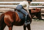 woman riding horse in english style tack