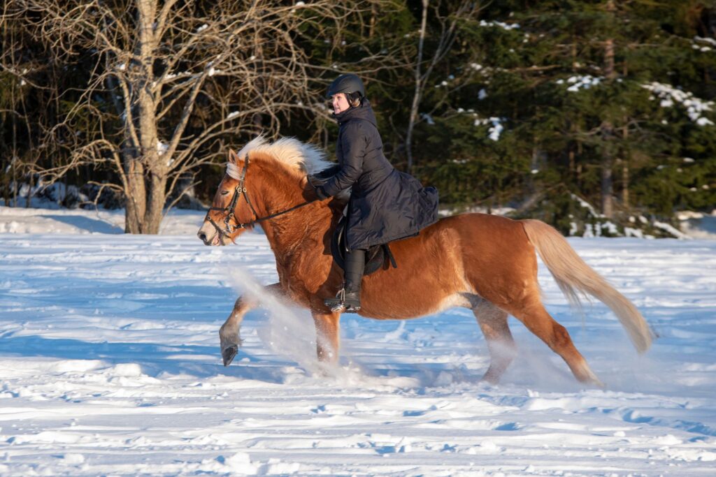 woman riding horse in snow
