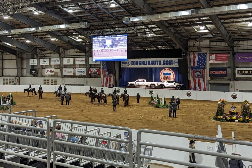 horses showing at the quarter horse congress in the Celeste arena