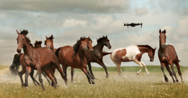 horse riding drone