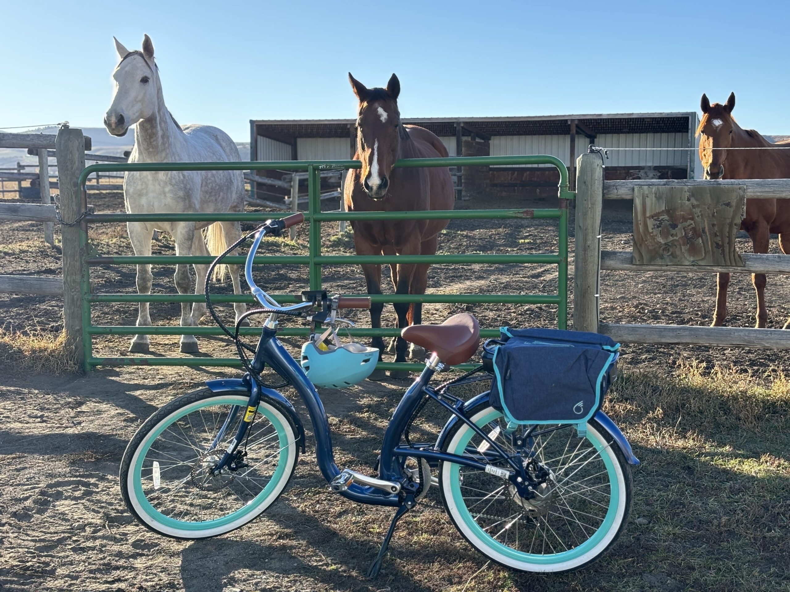 E-Bikes You'll Love Riding *Almost* as Much as Your Horse - Horse Rookie