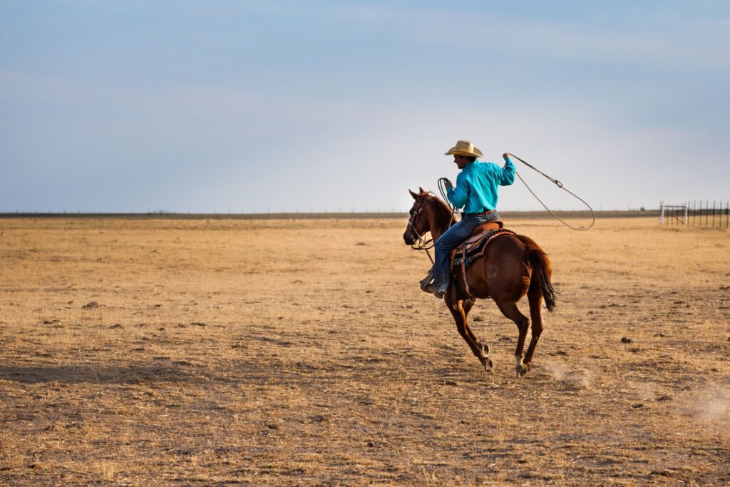 man riding horse swinging rope